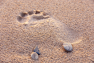 Footprints in the Sand