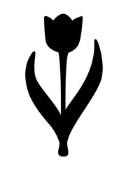 Spring tender flower tulip with two leaves and a stem - silhouette. Stylized image of a tulip for a logo or icon - stock illustration. Hand drawing