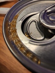 Drink Can Close Up