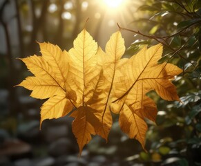 Obraz premium Golden sunlight filters through delicate leaf , golden light, metallic, nature