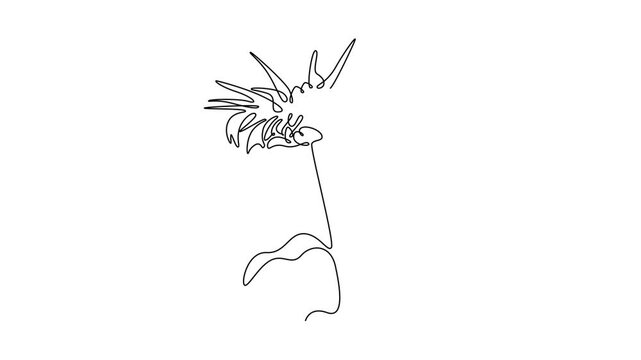 Animated self drawing of continuous line draw beauty fresh monarda for garden logo icon. Decorative horsemint oswago tea flower concept for floral invitation card frame. Full length one line animation