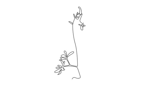 Animated self drawing continuous line draw beauty fresh perennial herbaceous plant for wall art home decoration poster print. Decorative corydalis flower card frame. Full length single line animation