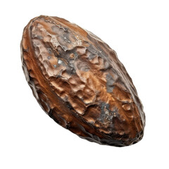 Detailed Close-Up of a Brown Natural Seed on a White Background