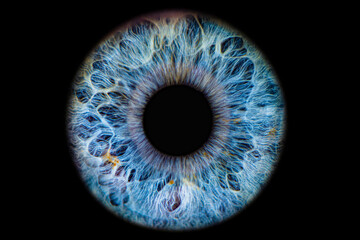 Close up of eye iris on black background, macro, photography