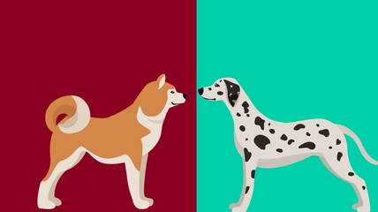 Looking for a cute dog picture This adorable image is perfect for any occasion. Share the love of dogs with this heartwarming photo: magic dog, black dog, beautiful dog, dod cub.