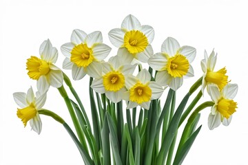 there are many white and yellow flowers in a vase