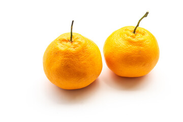 Two vibrant Hallabong tangerines with prominent stems, resting on a clean white surface.