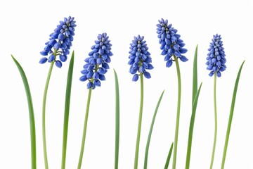 Naklejka premium there are four blue flowers that are growing in a vase