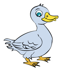 A goose isolated on white background