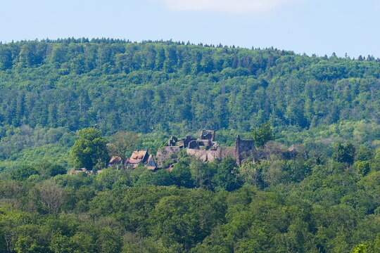 Burgruine Hohnstein bei Neustadt/Harz in Th&uuml;ringen	