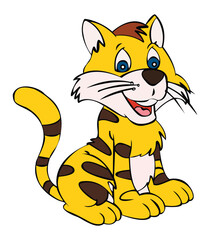 Cat smiling isolated on white background