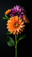 Floral arrangement with orange purple green symmetrical dahlia on black background, blooms, focal point, arrangement