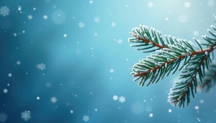 Frosted pine branch against soft blue background with delicate snowflakes, scenery, serene