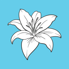 Lily flower vector illustration art design. Watercolor lily, tulip  flower set, hand drawn illustration of lilies, bright floral elements isolated on white background.