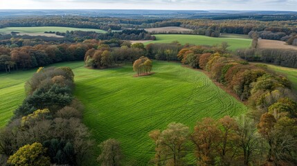 Obraz premium Aerial view of a vibrant green field surrounded by autumn trees and rolling hills in the distance