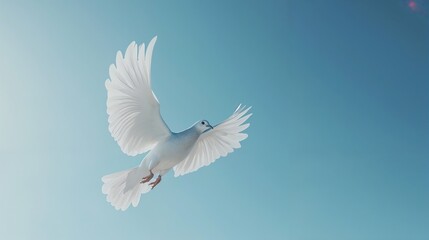 White dove flying gracefully against a clear blue sky with copy space
