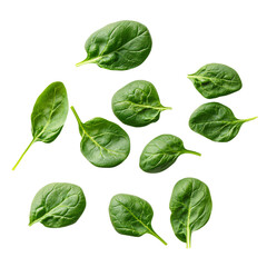 Fototapeta premium Fresh spinach leaves arranged neatly, showcasing their vibrant green color and smooth texture.