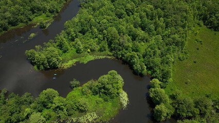 Aerial drone view branch of Cooper River used for fishing, boating and kayaking in Monks Corner, SC low country living