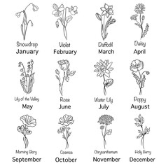 Birth Month Flower Chart Line Art with Month and Flower Names