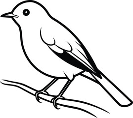  bird Vector image of a bird on a white background. Black and white illustration.