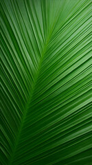 Lush Green Palm Leaf Texture