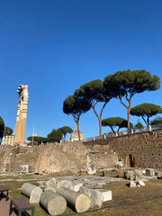 Archaeological ruins of the Roman Forum, Colosseum archaeological park 2025