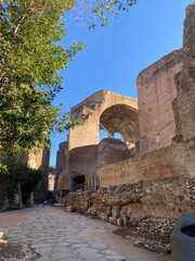 Archaeological ruins of the Roman Forum, Colosseum archaeological park 2025