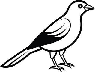 Vector illustration of a bird isolated on a white background. Black and white.
