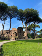 Archaeological ruins of the Roman Forum, Colosseum archaeological park 2025