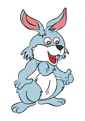 Cute rabbit isolated on white background