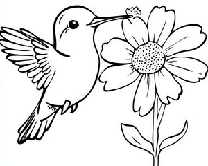 Obraz premium A beautiful black and white outline of a hummingbird feeding on a flower Perfect for coloring books, art projects, and nature-inspired designs, Outline