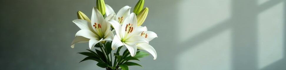 Fototapeta premium Cross-shaped arrangement of white lilies in a vase, , flowers, cross lilies