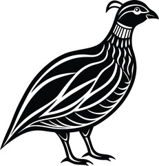 Quail silhouette vector illustration design, Beautiful Quail line art vector