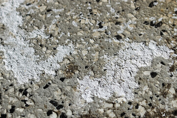 abstract close-up of salt mineral sodium chloride on sealed concrete floor in winter weather surface texture residue from tires municipalities copy space template background