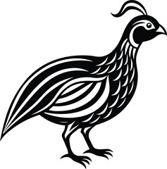 Quail silhouette vector illustration design, Beautiful Quail line art vector