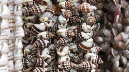 Decorative items made with seashells displayed in a handicraft shop