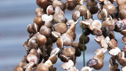 Decorative items made with seashells displayed in a handicraft shop