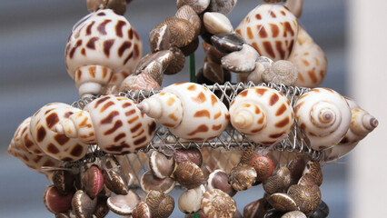 Decorative items made with seashells displayed in a handicraft shop