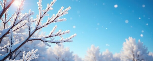 Frosty branches etched against a clear blue sky on a cold winter morning, winter, sky, cold