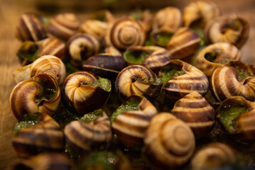 Close up Escargots, baked snails with garlic, butter and basil. French traditional food.
