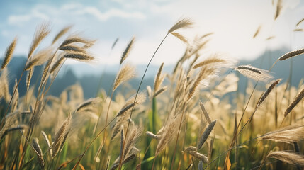 Naklejka premium tall grasses sway wheat field sunlight mountains natural background sharp focus hyperrealistic photography