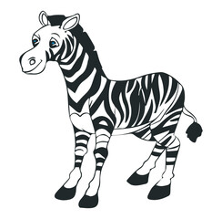 Zebra animals isolated on white background