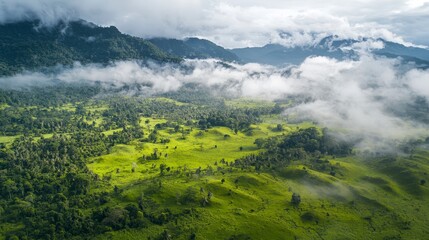 Lush Green Landscape with Fog and Mountains in the Background