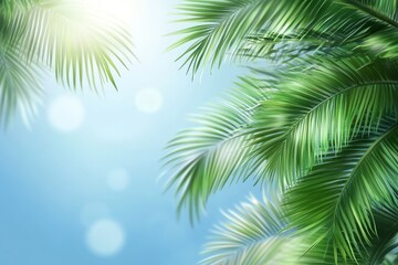 palm leaves on colorful pastel blurred background
