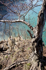 cliff cliff behind which is the blue sea
