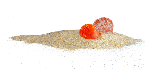 stack of sand with red clam isolated