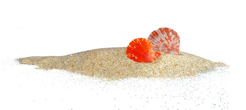 stack of sand with red clam isolated