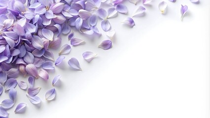 Fototapeta premium Soft lavender petals scattered on a white background, spring bouquet, garden scene, pastel colors, serene landscape, gentle hues