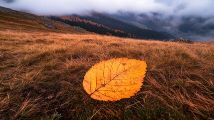 Dried yellow leaf on grass in mountain landscape