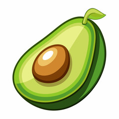 vector illustration of an avocado
